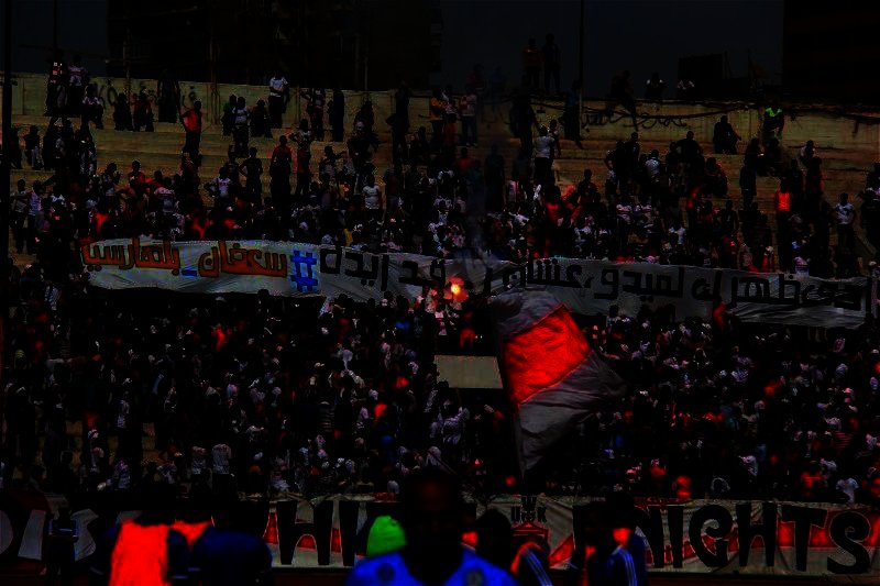 ألبوم : الوايت نايتس فى مران الزمالك .. سارة عبدالباقى