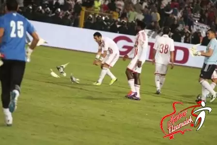 اخبار الزمالك - خاص .. تأخر بدء مباراة الزمالك والداخلية ثلاث دقائق بسبب "حمامة"