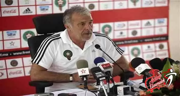 اخبار الزمالك - المغرب يعلن انفصاله عن المدرب البلجيكي جيريتس