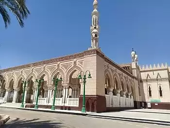 «الأوقاف» تكشف حقيقة إعادة فتح المساجد الجمعة المقبلة
