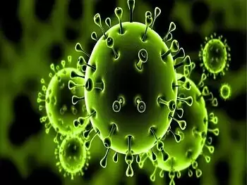 كارثة جديدة | الصين تكتشف فيروس جديد أشد فتكًا وانتشارًا من كورونا